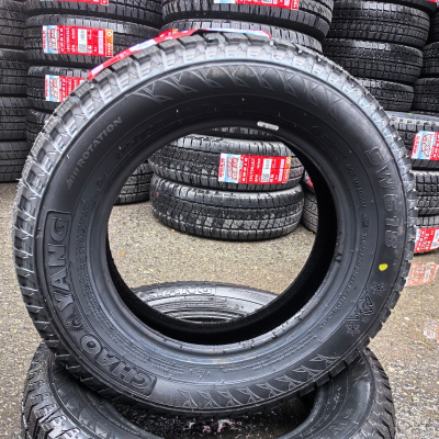 朝阳 雪地胎175/70R14 条