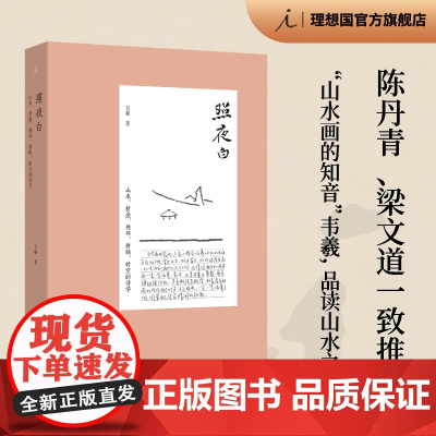 照夜白:山水 折叠 循环 拼贴 时空的诗学 韦羲 著 陈丹青 梁文道一致 有笔有墨的山水画史 画语录 理想国图书店正版