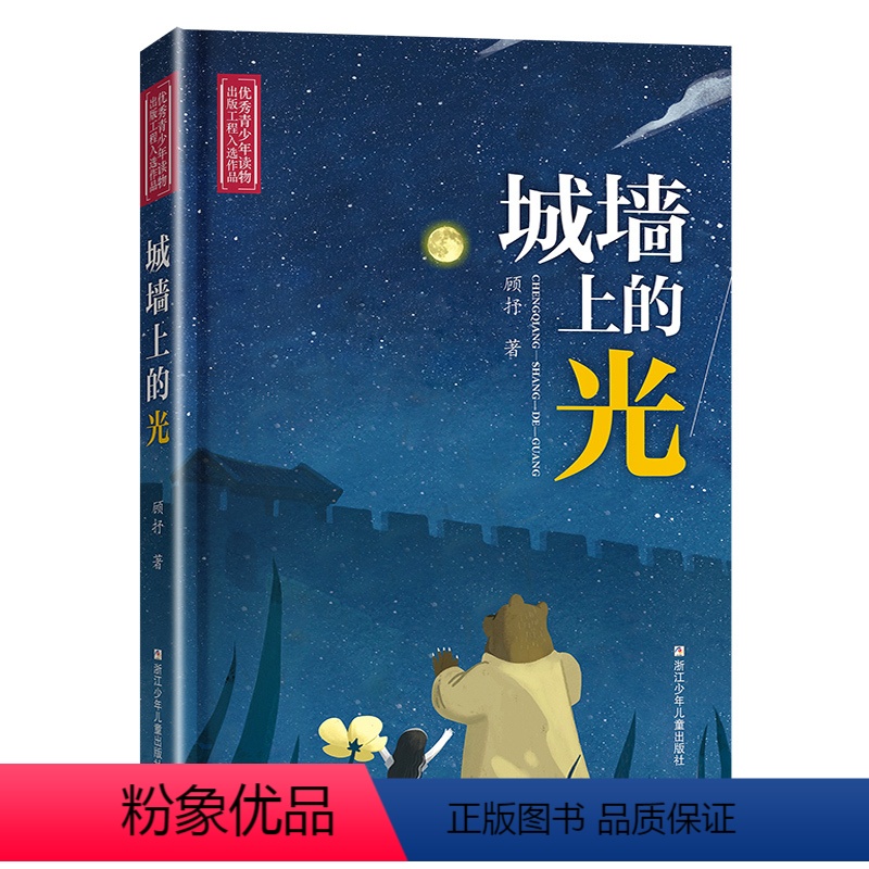 城墙上的光 [正版]2023阅美湖湘阅读打卡笔墨书香经典阅读五年级下册 城墙上的光 顾抒 小学生课外阅读书籍儿童故事书