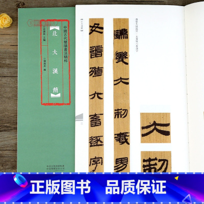 北大汉简 [正版]学海轩 北大汉简 中国古代简牍书法 傅飞舟编 汉简竹简文民间书法高清彩印简体旁旁注 河南美术出版社 余
