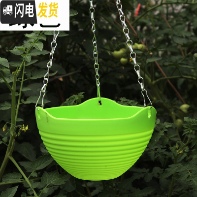 三维工匠吊兰花盆组合套餐大号绿萝挂盆送挂钩垂吊悬挂式塑料树脂吊篮花盆 绿色6个[送配件] 大号(口径24cm)花盆容器