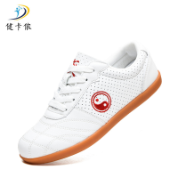 健卡侬太极鞋JX19/双