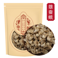 雄蚕蛾100克袋装 纯公蚕俄蚕娥晚蚕娥未交配雄天蛾新货雄蚕蛾