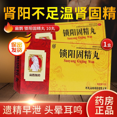 扁鹊 锁阳固精丸 9g*10丸/盒 大蜜丸 温肾固精 肾阳不足 遗精早泄 腰膝酸软 头晕耳鸣 丸剂 1盒