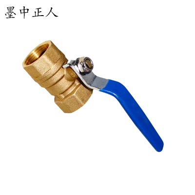 墨中正人加工加厚全铜铜芯DN50 个