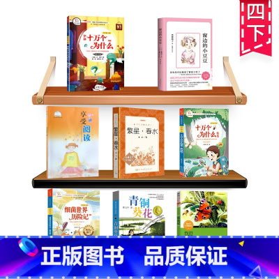 四年级下册阅读考级全套8本 [正版]窗边的小豆豆南海出版黑柳彻子著爱心树校园励志成长读物儿童文学小说故事书常熟考级图书寒