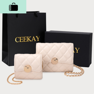 包包2020新款潮百搭斜挎网红超火迷你链条包小包女NEW LAKE女斜挎包