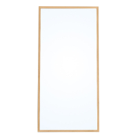 安立洁康 穿衣镜 560*1700*150mm(张)