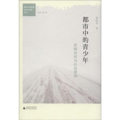 正版新书]都市中的青少年:发展危机与社会管理华红琴,张文宏97