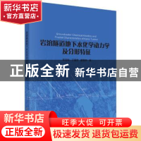 正版 岩溶隧道地下水化学动力学及分形特征 李苍松,丁建芳,廖烟