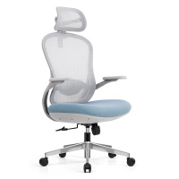 匡大办公椅高级电脑椅人体工学办公椅A2516G