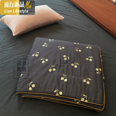 ins复古小樱桃天丝空调被夏季莫代尔双人夏凉被夏天薄款被子夏被 三维工匠