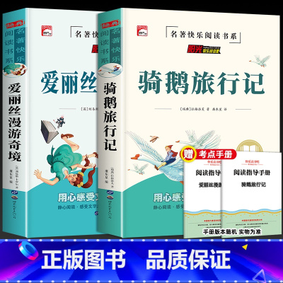 爱丽丝漫游+骑鹅旅行记 2册(带考试重点) [正版]全套4册 六年级下册必读的课外书 快乐读书啊吧6下人教版鲁滨逊漂流记