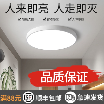 大海边智能阳台吸顶灯过道走廊楼梯灯夜间玄关声控灯雷达人体感应灯