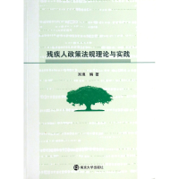 音像残疾人政策规理与实践吴填