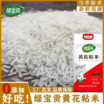 绿宝贡[新品低价]10斤装黄花粘新米正宗农家长粒香优质大米南方大米