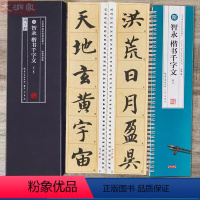[正版]智永楷书千字文 名家碑帖近距离临摹字卡 2卷全文 临读对照版(米字格高清本+原碑帖)附简体旁注 楷书书法毛笔练