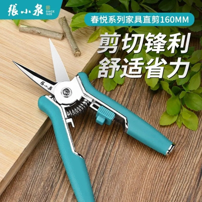 张小泉修枝剪刀不锈钢园艺葡萄剪家用省力鲜花花艺专用小剪刀7163