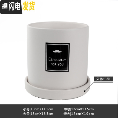 三维工匠简约圆柱ins北欧风带托盘室内沙漠植物现代创意陶瓷多肉花盆批发 哑光白(FORYOU) 中等花盆容器