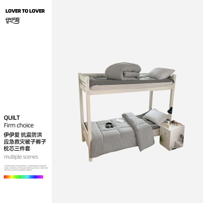 伊伊爱 抗震防洪应急救灾被子褥子枕芯三件套