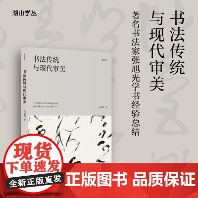 书法传统与现代审美 书法汉字文集 著名书法家张旭光学书经验总结 书法提高宝典/展览参赛秘笈参考读物 湖山学丛