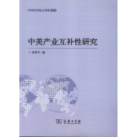音像中美产业互补研究张丽平