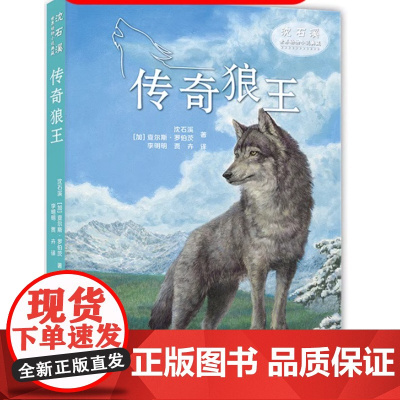传奇狼王沈石溪动物小说全集正版珍藏版全套8册小学生课外阅读书籍儿童文学经典获奖读物三四五六年级必读的课外书目动物小说