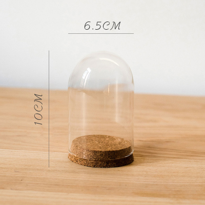 美帮汇软木塞玻璃罩 装饰摆件微景观干花标本公仔玩偶瓶DIY C(6.5cmX10cm)