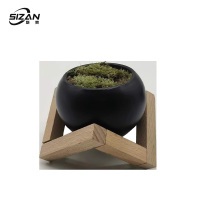 斯赞 个性化花架装架文竹摆件 SZ1022 套