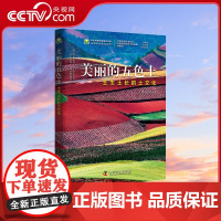 [央视网]美丽的五色土 土生土长的土文化 当代中国科普精品ZK