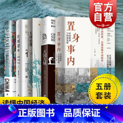 [正版]置身事内:中国政府与经济发展/大国大城/在城望乡/改变中国/大国治理 文景中国之治上海人民出版社