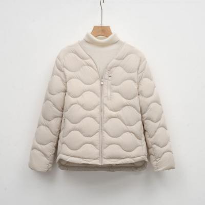 90白鸭绒新国标修身V领纯色简约圆领保暖羽绒服女外套_1