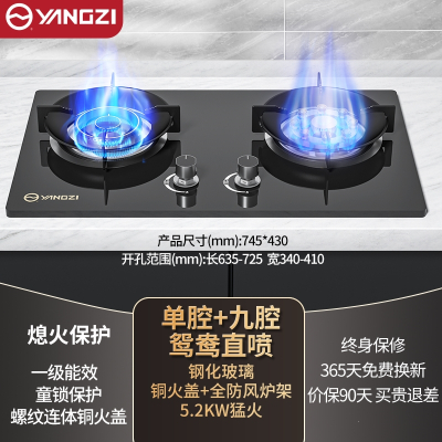 扬子燃煤气灶炉双灶家用天然气液化气猛火灶台式嵌入式 钢化玻璃加厚5.2kW鸳鸯直喷_天然气