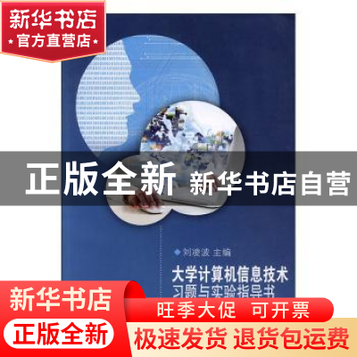 正版 大学计算机信息技术习题与实验指导书 刘凌波主编 河海大学