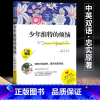 [正版]英语大书虫世界经典名译典藏书系少年维特的烦恼原版英汉对照中英文双语名著中文版英文版读名著学英语中英对照