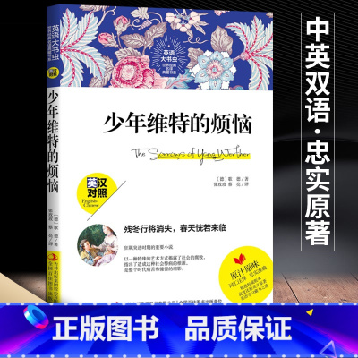 [正版]英语大书虫世界经典名译典藏书系少年维特的烦恼原版英汉对照中英文双语名著中文版英文版读名著学英语中英对照