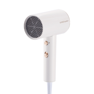 荣事达电吹风RC-210A