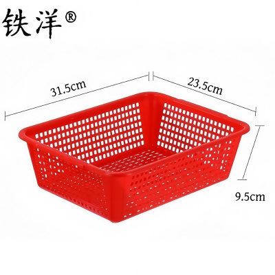 铁洋 塑料框子 洗菜篮 2号(31.5cm*23.5cm*9.5cm)个