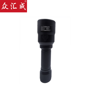 众汇成 多功能袖珍手电筒 GAD105D 个
