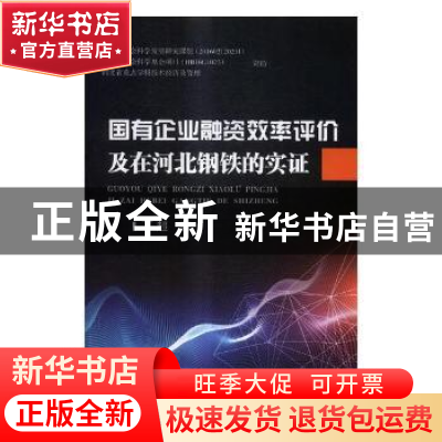 正版 国有企业融资效率评价及在河北钢铁的实证 丁超著 冶金工业