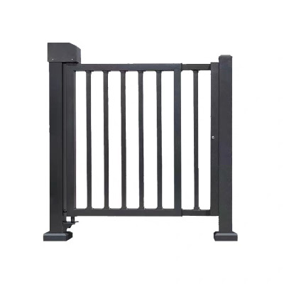 诚智旺 遥控小门 YKM-1/套