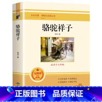 骆驼祥子 [正版]朝花夕拾西游记原著骆驼祥子海底两万里昆虫记钢铁是怎样炼成的艾青诗选水浒传简爱儒林外史初中七八九年级全套