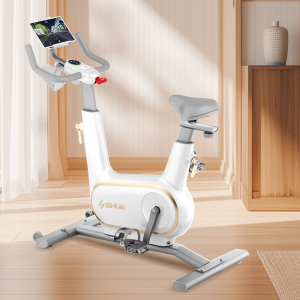 舒华动感单车家用智能静音室内脚踏车运动减肥健身器材精灵B369
