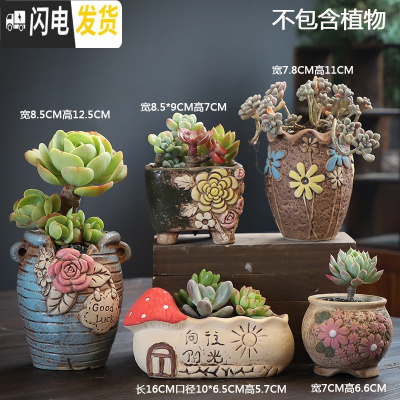 三维工匠多肉花盆陶瓷粗陶透气家用肉肉植物创意大口径创意小花盆 DX艺美01组合5个 小花盆容器