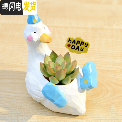 三维工匠zakka田园多肉花盆可爱卡通动物花盆鲸鱼花园派对创意小花盆套餐 深紫色哒克+黄丽+happy 小花盆容器