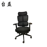 台益 办公椅 TY-MSDA668J 700*600*1250mm 把