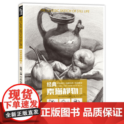 经典全集 经典素描静物②组合铅笔美术绘画书籍 临摹范本陈顶技法sh'