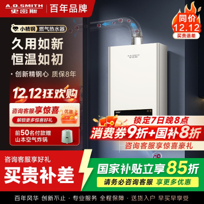AO史密斯新品小体积13升精钢燃气热水器 JSQ26-EC3 负压燃烧更安全 精控恒温 家用持久恒温大水量