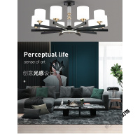 苏宁放心购 2020年新款客厅吊灯北欧轻奢大气家用灯具现代简约餐厅卧室网红灯