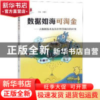 正版 数据如海可淘金:大数据技术及其在智慧城市的应用 汪疆平 广